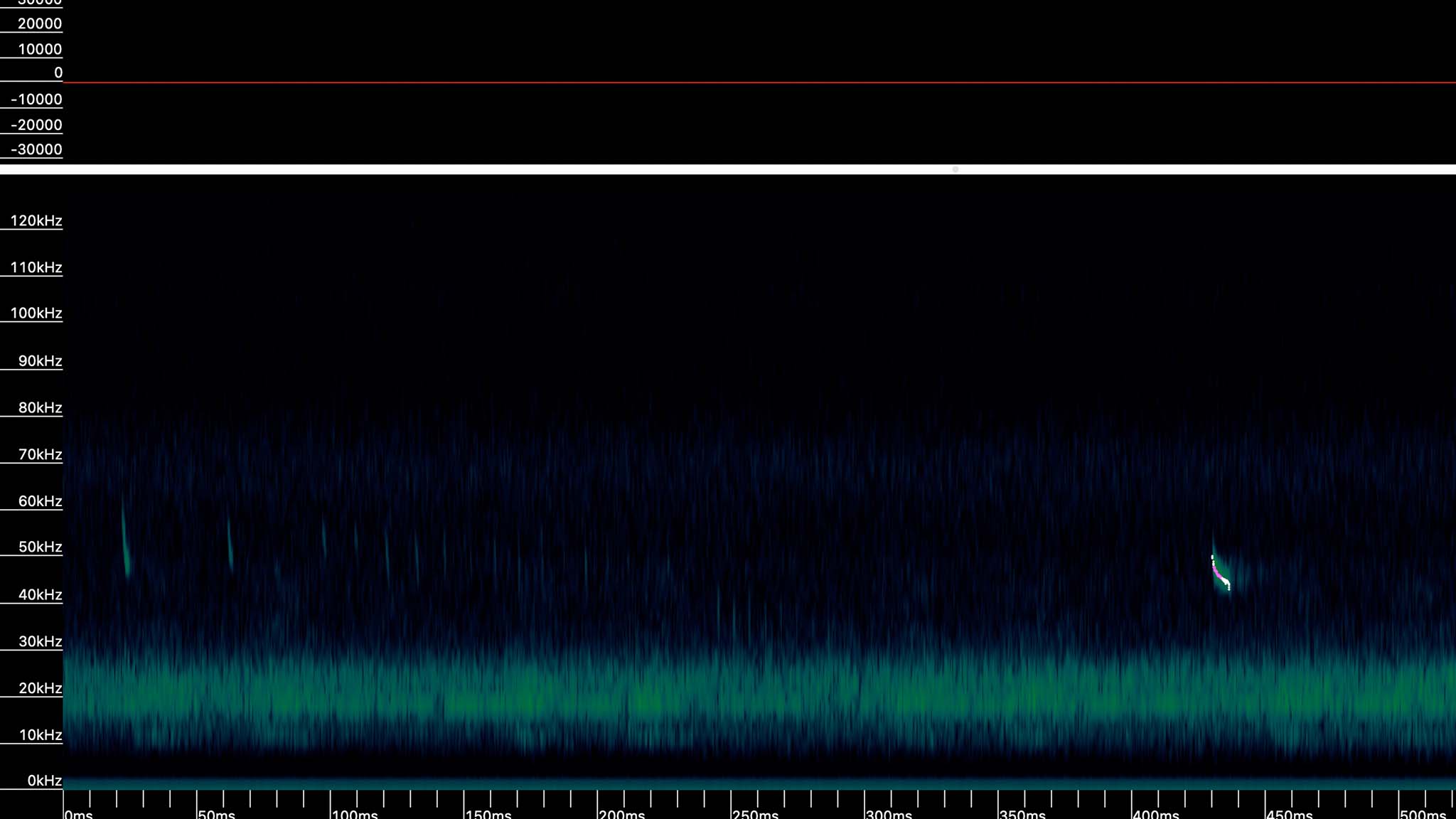 Sonagramm ConVecDro Myotis Feeding Buzz und Pipistrelloid